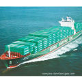 LCL Sea Freight Service from China to Paraguayan, Brazil